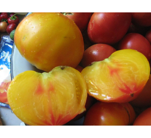 Насіння помідору Грейпфрут
