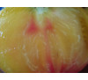 Насіння помідору Грейпфрут