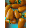 Насіння перцю солодкого Ланчбокс помаранчевий (Sweet Lunchbox Orange)